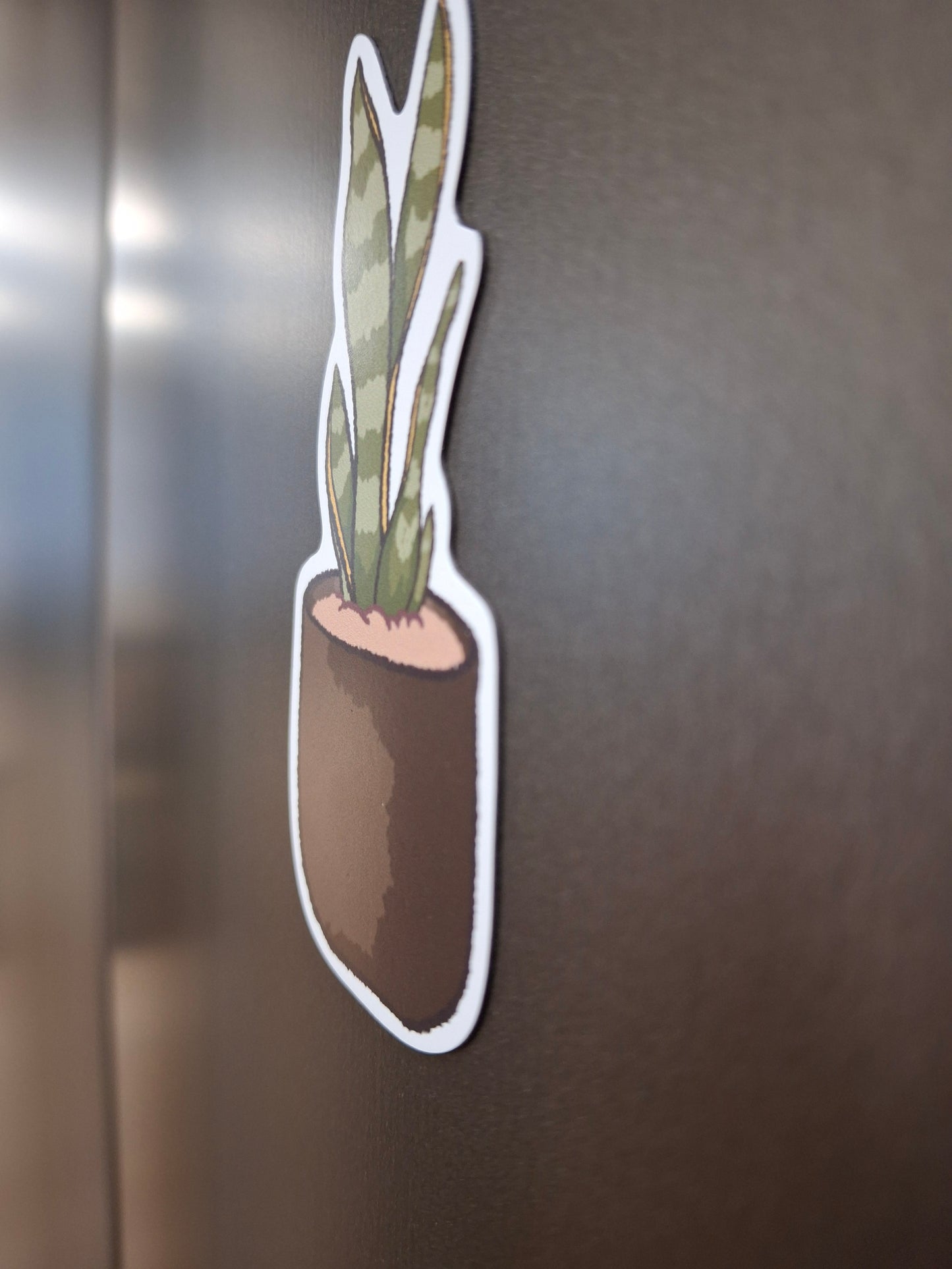 Magnet: Indoor Snake House Plant