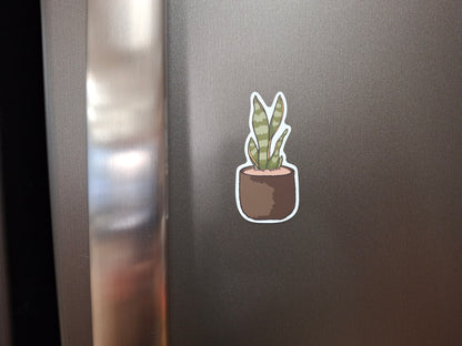 Magnet: Snake Plant