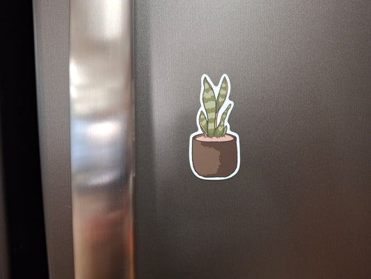 Magnet: Indoor Snake House Plant