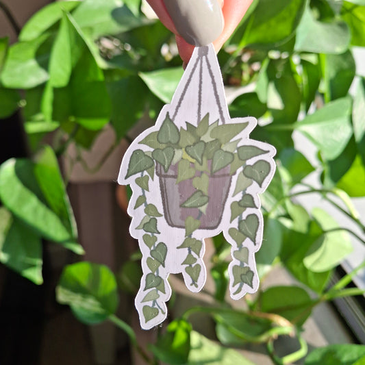 Sticker: Pothos Plant