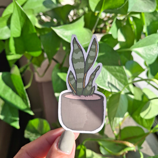 Sticker: Snake Plant